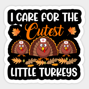 I Care For The Cutest Little Turkeys Thanksgiving Sticker